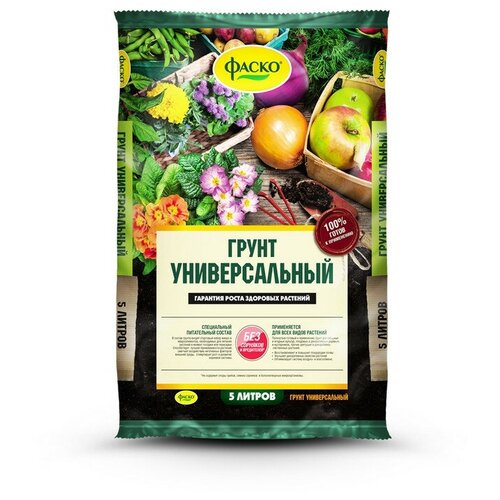 ������ ������ ����� ������������� ����� 5� 3 ��. ����