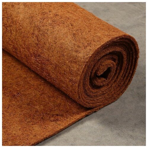 ������ ������ ��������� ������� ��� �������������, 5 ? 0,5 �, ����������� (�������� �� 2 ��) ����