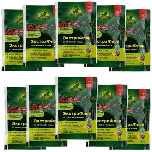 ������ ������ ������������� ���������� �� ��������� ����� 1� �� ����������� ����������� 10 ���� ����