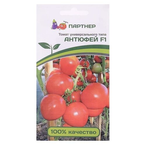 ������ ������ ������ ����� ������� F1 0.1 �� ������� ����