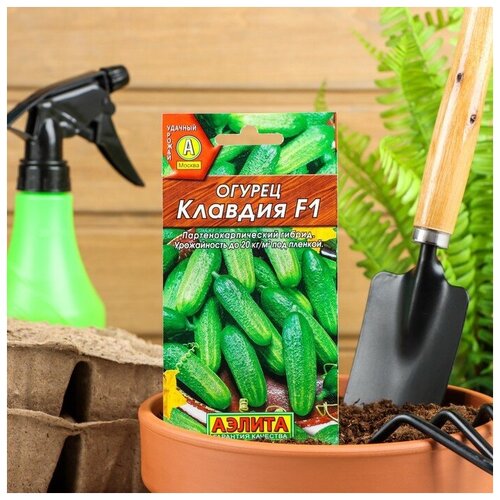 ������ ������ ������ ������ ������� F1 10�� ������������������ ������ (����time) ����