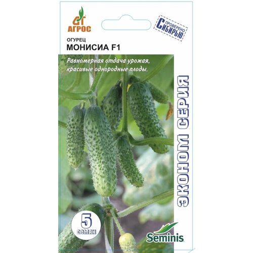 ������ ������ ������ ������ ������� F1 8�� ������������������ ������ (�����) ����