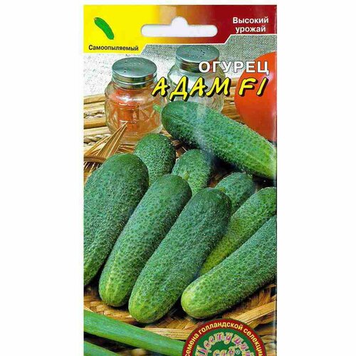 ������ ������ ������ ������ ���� F1 (������������������) (�������� ���) 8�� ����