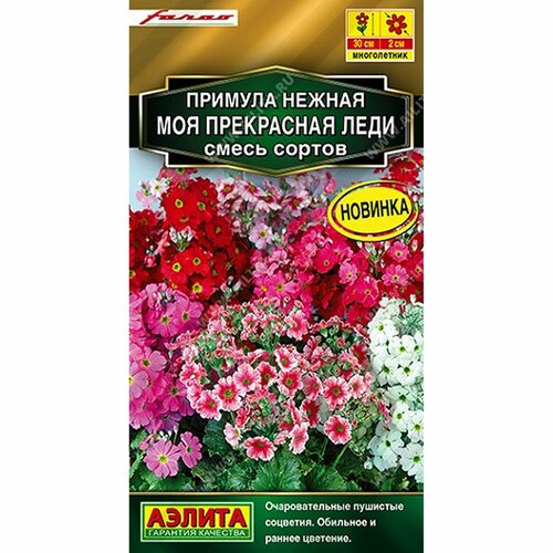 ������ ������ ������ ������� ��� ���������� ����, ����� ������, �����������, (������) 7�� ������� ����� ���. Farao ����