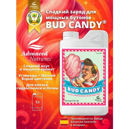 ������ ������ Bud Candy ����
