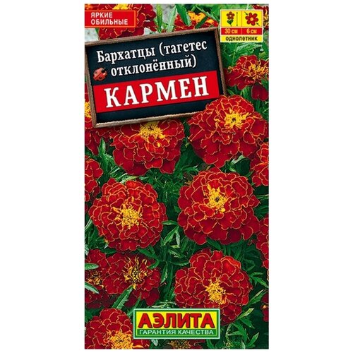 ������ ������ ������� �������� 