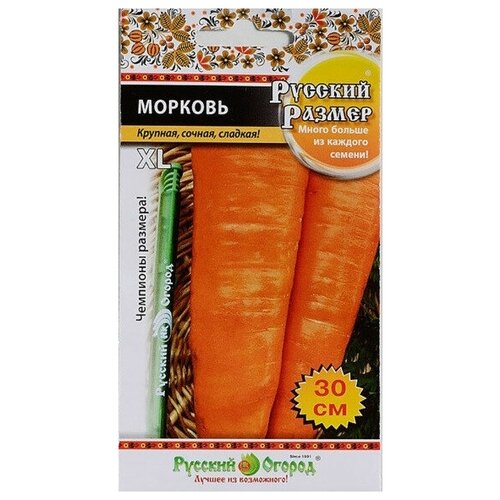 ������ ������ ������� ������� ������ 200�� �� ����