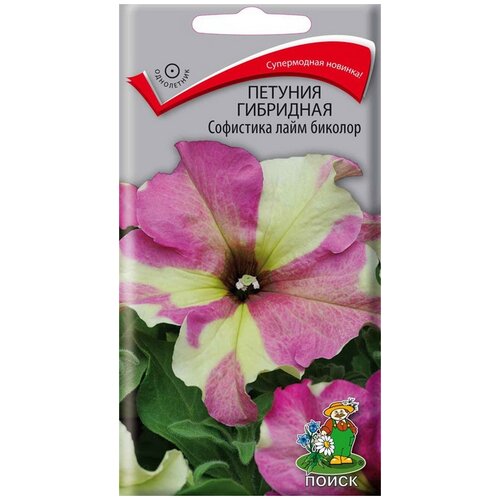 ������ ������ ������ ����� ������� ��������� ��������� ���� �������, 5 ��. ����