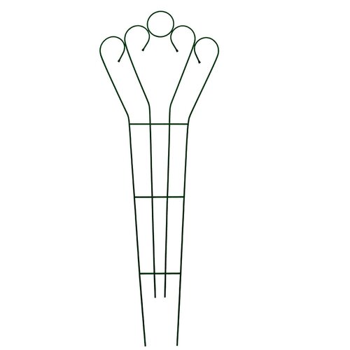 ������ ������ �������� ������� �12 