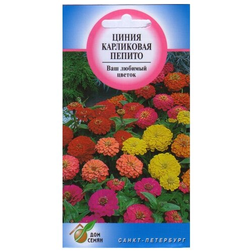 ������ ������ ������ ���������� ������, 35 ����� ����