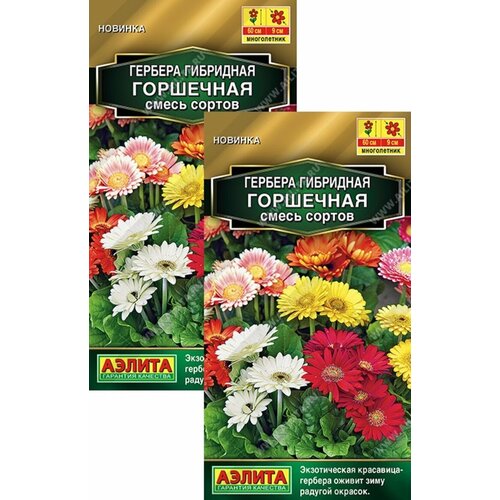 ������ ������ ������� ��������� ����� (10 �����), 2 ������ ����