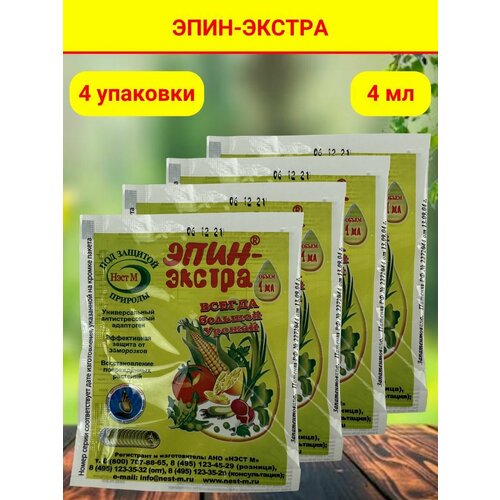 ������ ������ ����-������ ����