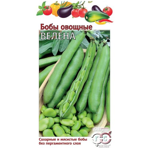 ������ ������ ������. ���� 