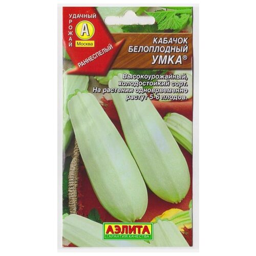 ������ ������ ������ ��������� ������ ������� ����������� ���� 2 � ����