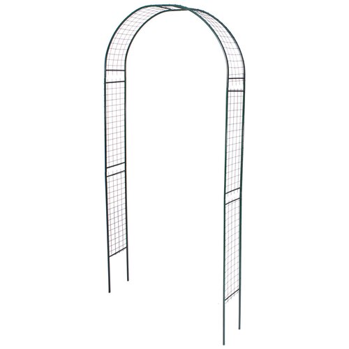 ������ ������ ���� ������� ��������� 