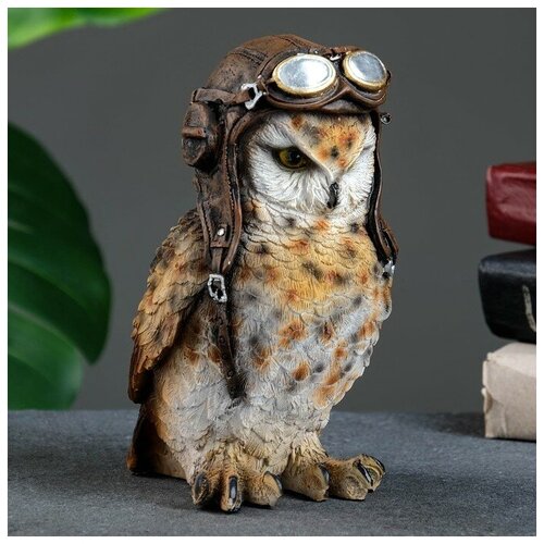 ������ ������ ������ ����