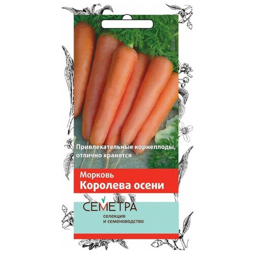 ������ ������ ������� 