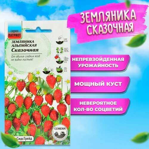 ������ ������ ��������� ������ ��������� - ����������, ����� ������� ����