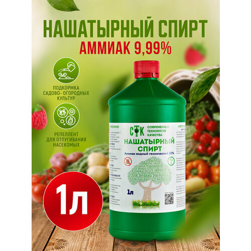 ������ ������ ���������� ����� 1�, ������ ������ 9,99% ����