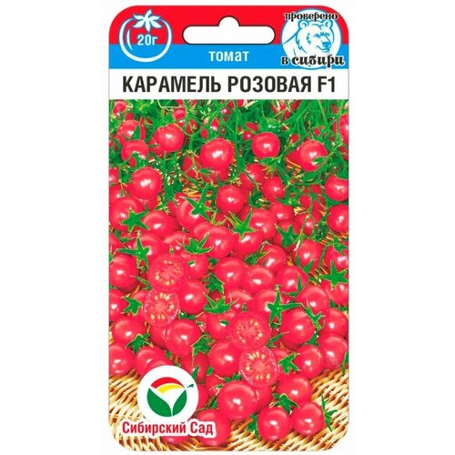 ������ ������ ������ ����� ����� �������� ������� F1 15�� ��� ������ (��������� ���) ������ ��� ������ ����