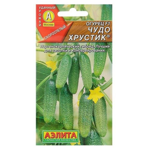 ������ ������ ������ ������ 