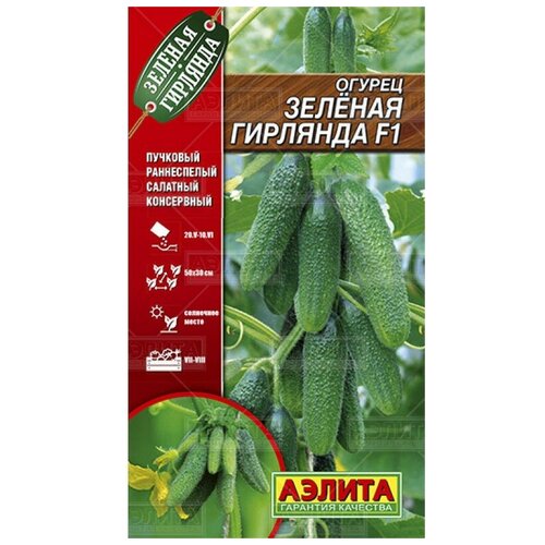 ������ ������ ������. ������ 