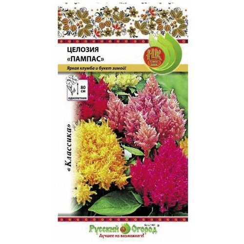 ������ ������ ������. �����. ������� 