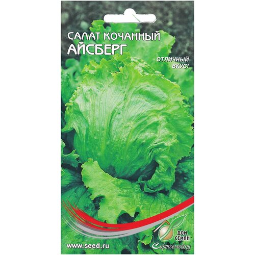 ������ ������ ����� �������, 450 ����� ����