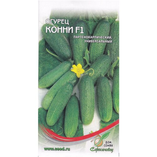 ������ ������ ������ ����� F1, 10 ����� ����