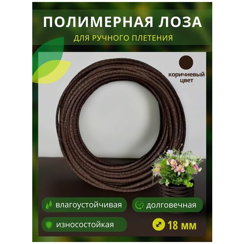 ������ ������ ���������� ���� � �����, ������� 18��, 150�, ���������� ����