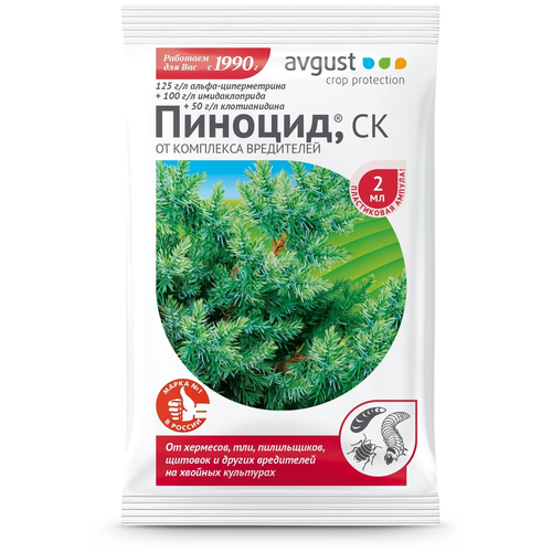 ������ ������ Avgust �������� ������ ��������� ���������� �� ������� ��������� �������, 2 �� ����