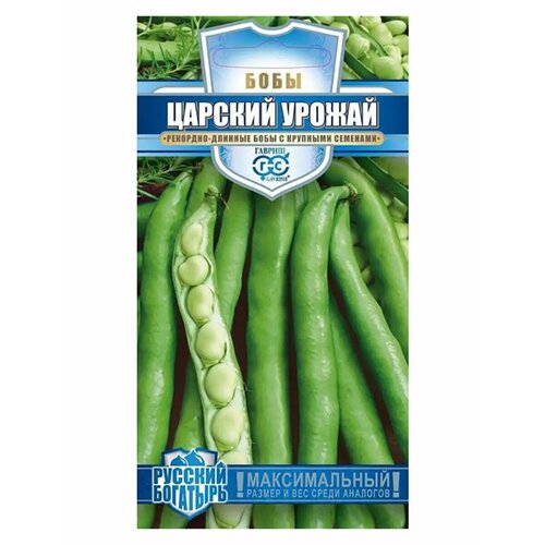 ������ ������ ������. ���� 