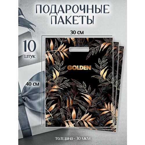 ������ ������ ���������� ������ ����� �������������� ����