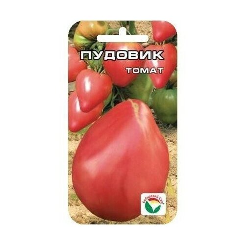 ������ ������ ������ ����� ������� 20 �� (�����) (��������� ���) ����