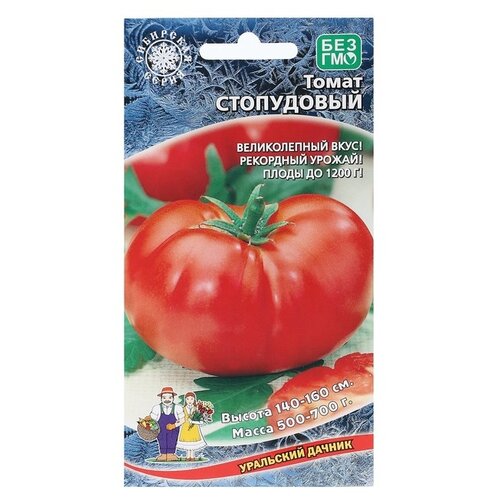 ������ ������ ������ ��������� ������ ����� ���������� ����