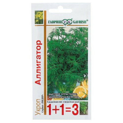 ������ ������ ����� 