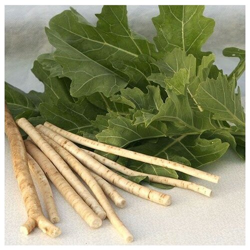 ������ ������ ������ ������ ������ ������ (���� ���������) 15 ��. ����