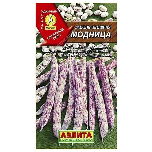 ������ ������ ������. ������ ������� 