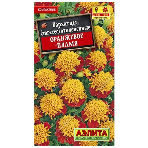 ������ ������ ������. �������� 