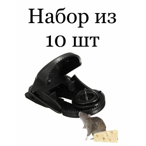 ������ ������ ��������� ����������� 