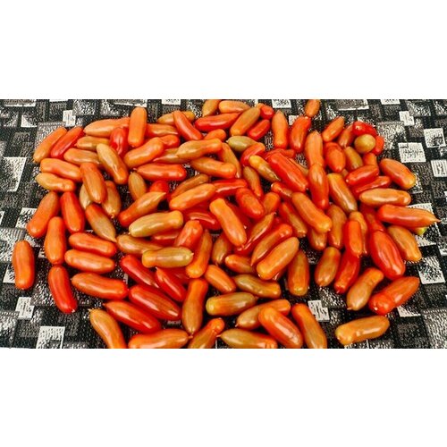 ������ ������ ������������� ������ ������ ����������, ������ ����