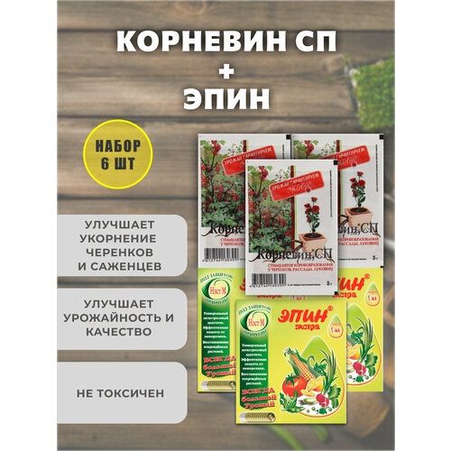 ������ ������ ���� ��� �������� + �������� ��� ��������, ���������, ����� 6 ����. ����