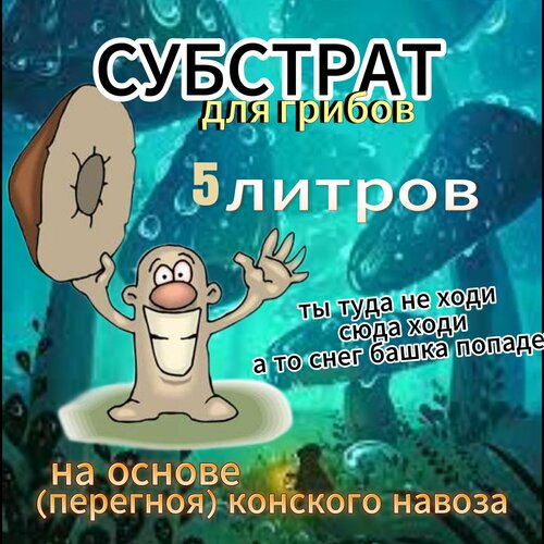 ������ ������ �������� ��� ������ - 5�. ����