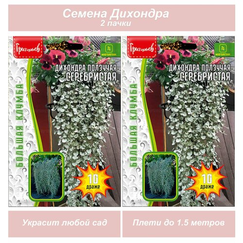 ������ ������ ������ ����������� ������ �������� ����