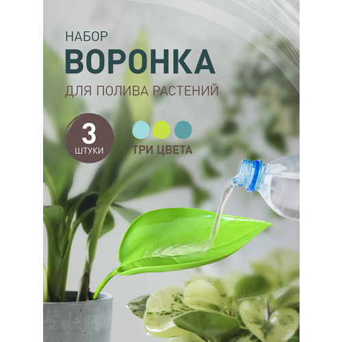 ������ ������ ��������� ����� iulkapu ��� ��������� ��������, 3 �� ����