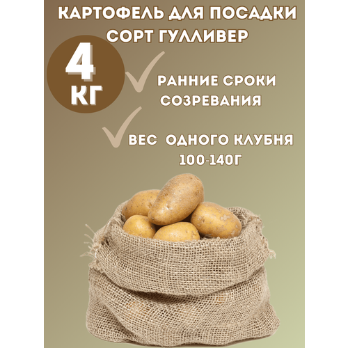 ������ ������ ��������� �������� 