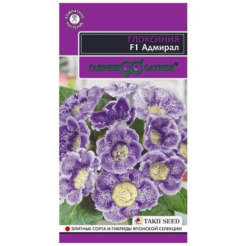 ������ ������ ������ ��������� ������� F1 ����