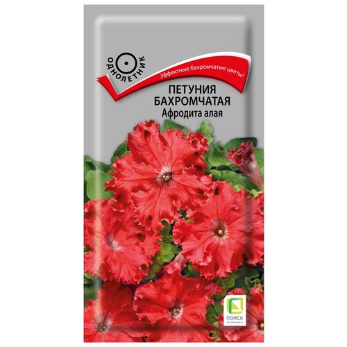 ������ ������ ������� ����������� �������� ���� ����