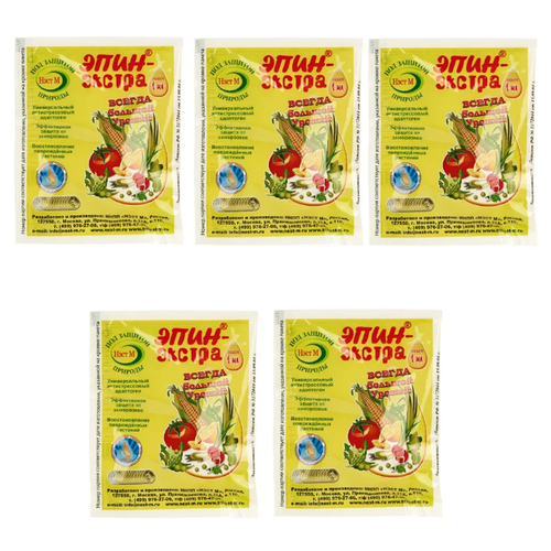 ������ ������ ����-������ ����