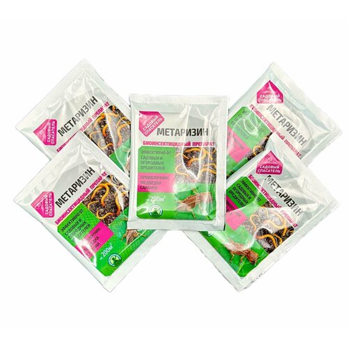 ������ ������ ��������� 25�� / 5�� ����